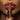 LIPS